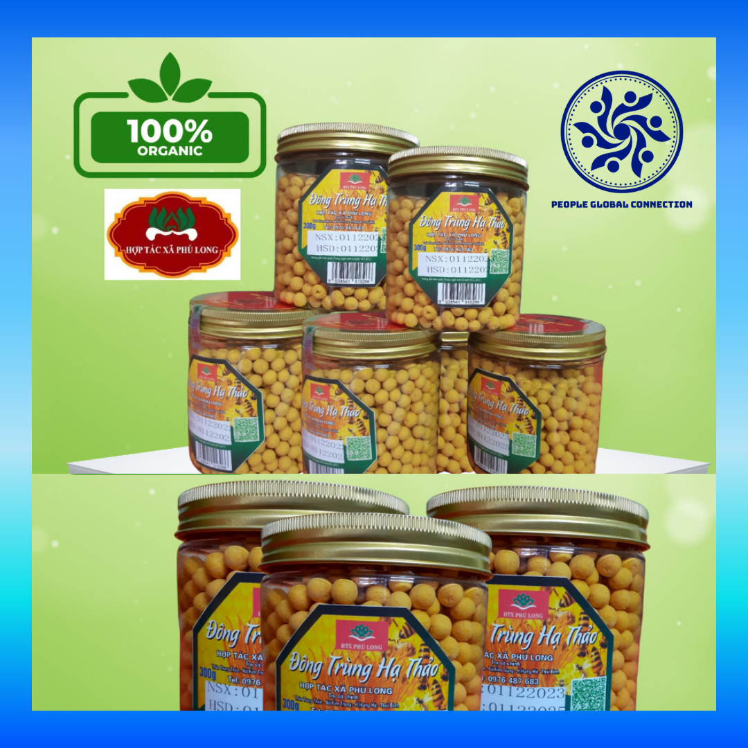 Viên Hoàn Đông Trùng Hạ Thảo (Hộp 300 Gram)