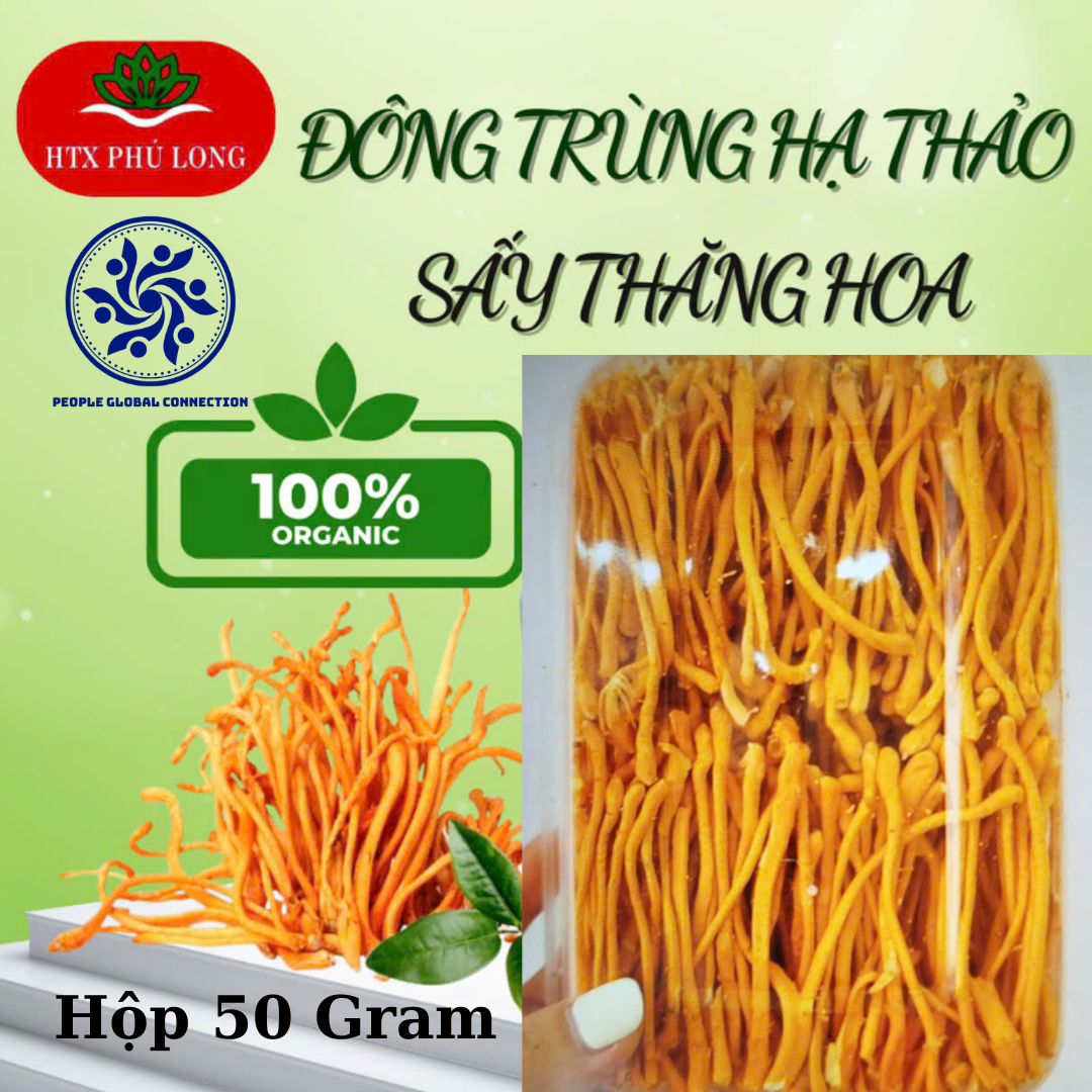 Đông Trùng Hạ Thảo Sấy Thăng Hoa (Hộp 50 Gram)