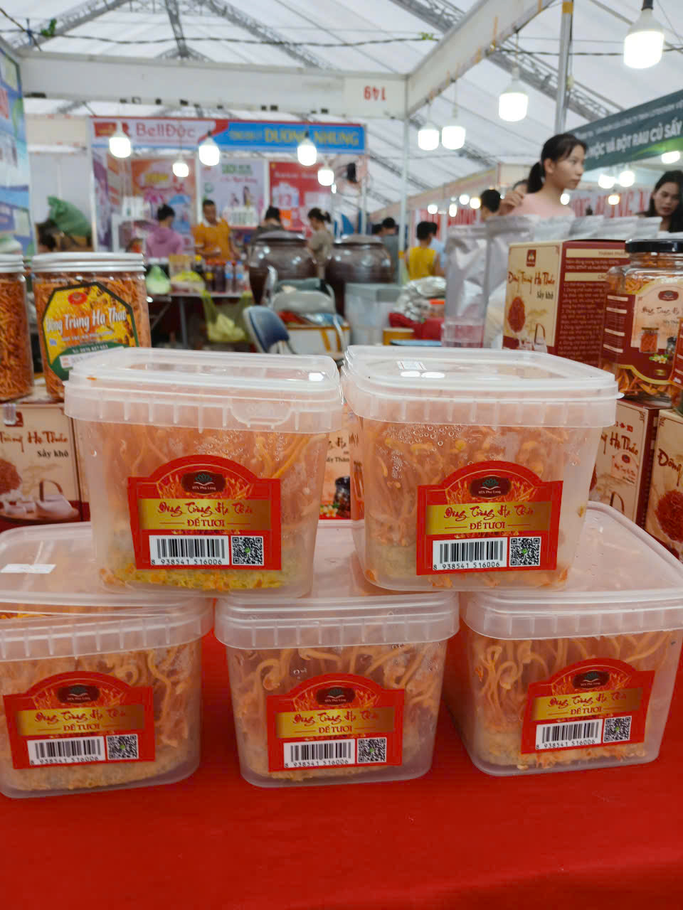 50 Hộp Đông Trùng Hạ Thảo Tươi (Hộp)